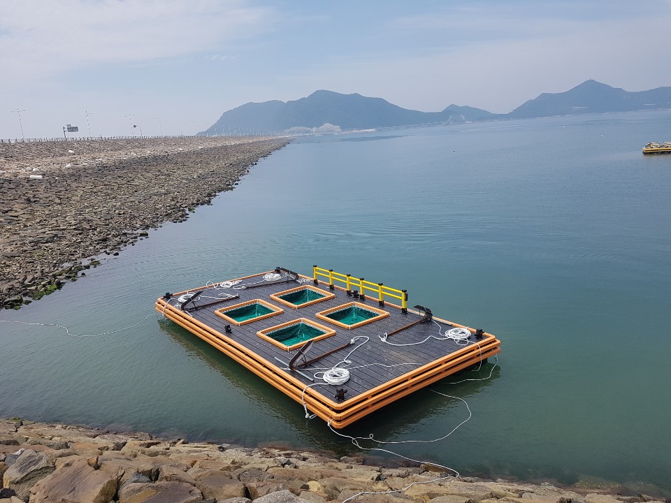 2949892323_C1H5s8fI_7f3599b08af22894b245748b82e1fc7a7af6238d.jpg 이미지크게보기